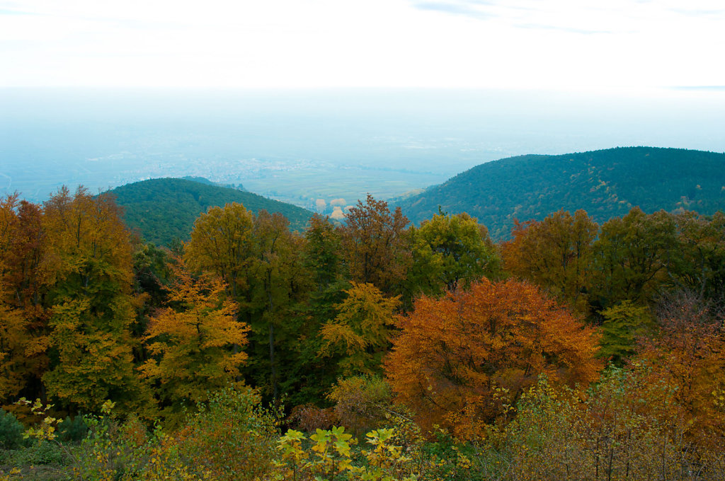 IMG0688.jpg