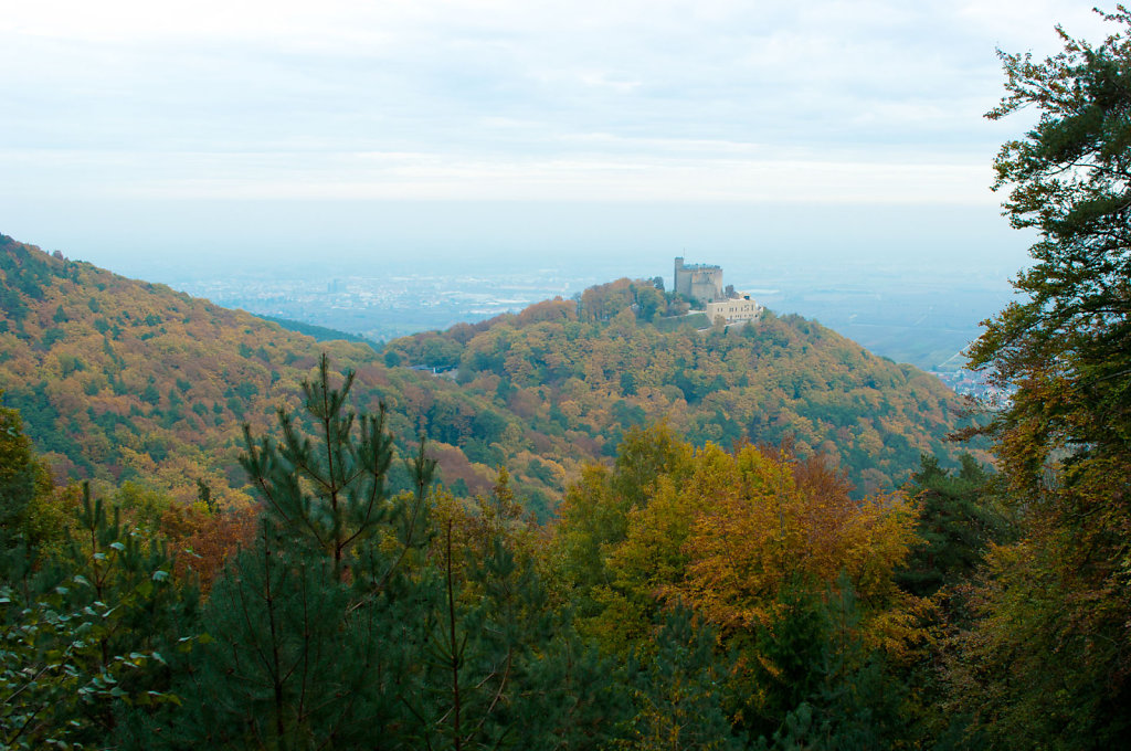 IMG0734.jpg