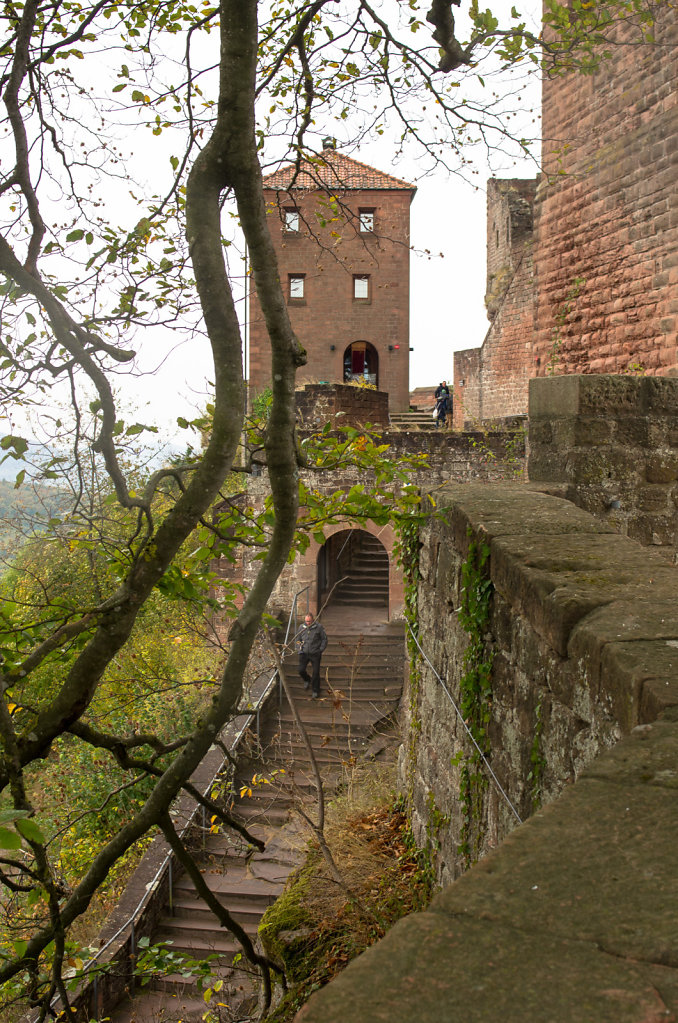 IMGP9947.jpg